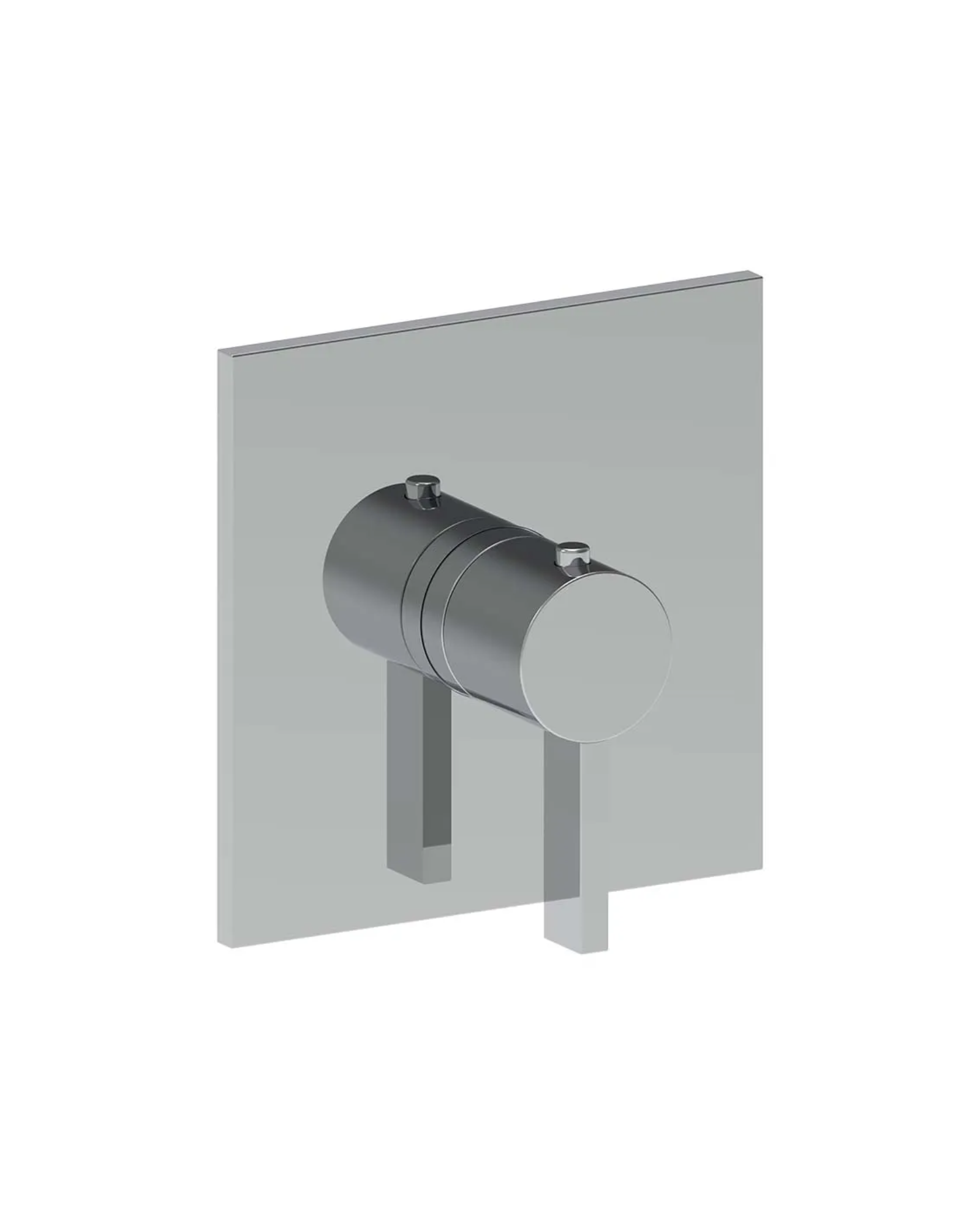 3/4" Thermostatic Valve Trim
